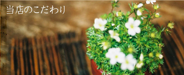 ��Ź�Τ������